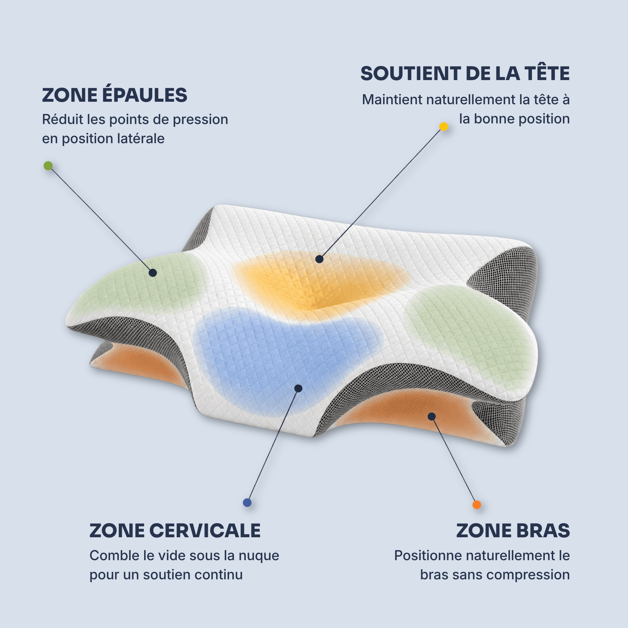 Les zones de soutien de l'oreiller Nuage : tête, cervicale, épaules et bras